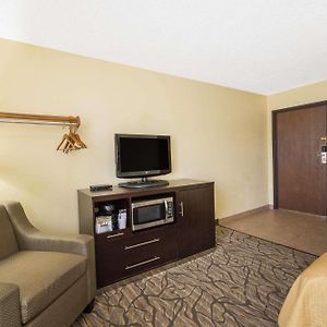 Queen Room Pet Friendly or Non-Smoking